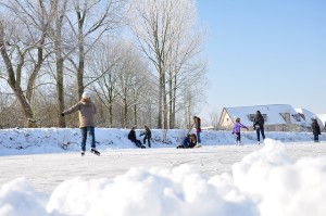 ice skaters near homes
