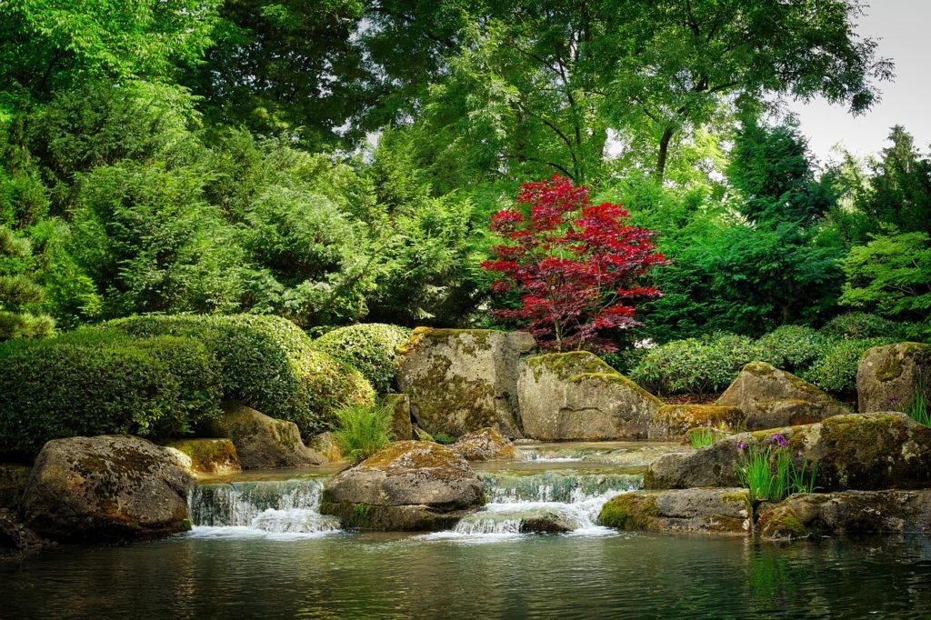 Babbling brook in a nature park.