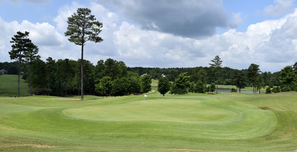 Large golf course surrounded by trees.