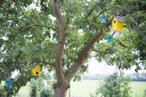 Small yellow and blue bird houses in a tree.